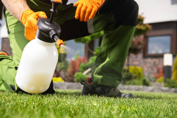 Best Cockroach Control Services  in Bridge City, TX