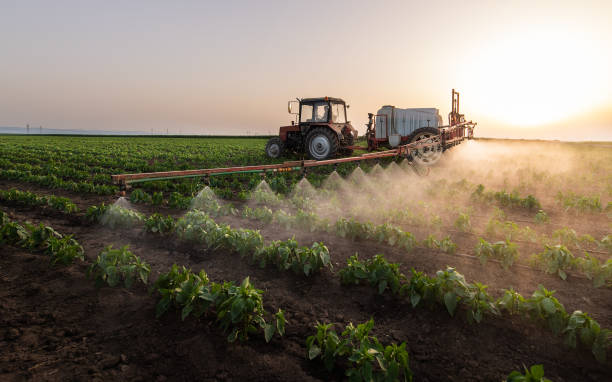 Best Commercial Pest Control Services  in Bridge City, TX