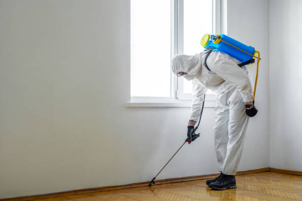 Best Mosquito Control Services  in Bridge City, TX