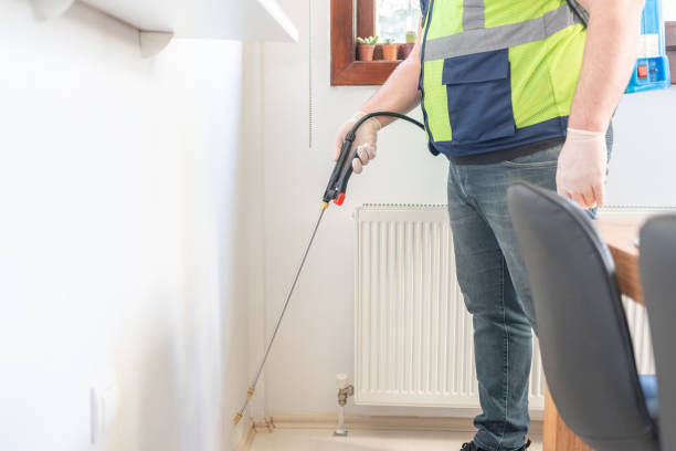 Wasp Removal Services in Bridge City, TX