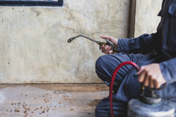 Best Emergency Pest Control  in Bridge City, TX
