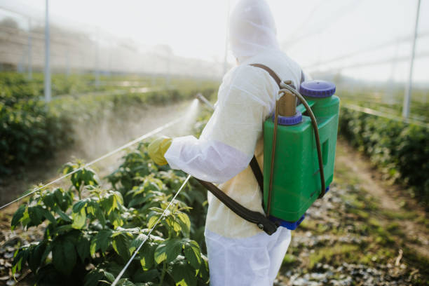 Professional Pest Control in Bridge City, TX